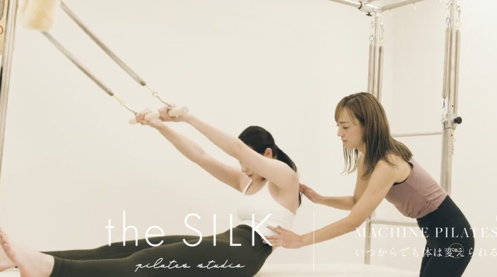 the SILK